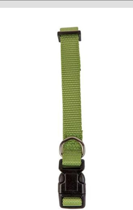 Forever Pals Assorted Dog Collar (Small)