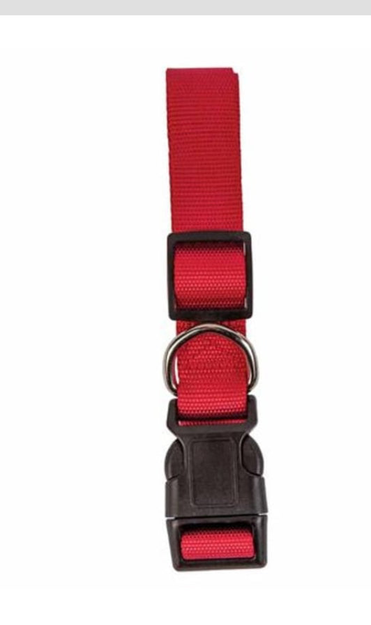 Forever Pals Assorted Large Dog Collar