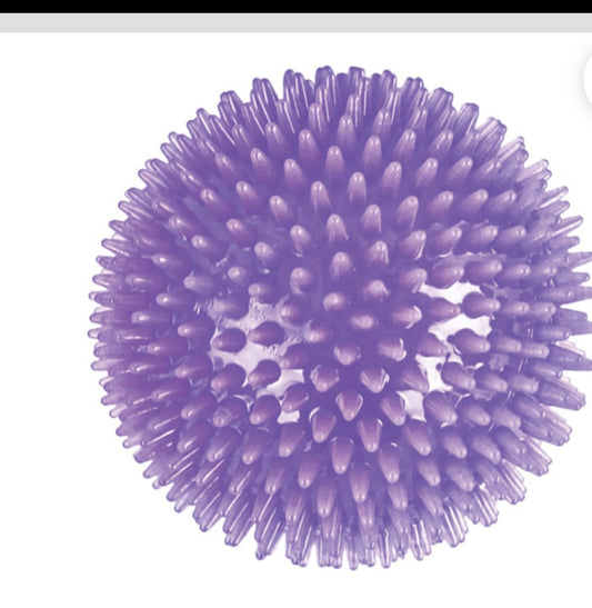 Play On Assorted Light Up Spike Ball 4.5" Dog
Toy