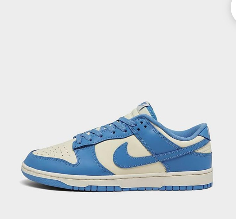 Nike Men's Classics Low Retro Dunk Casual Shoes