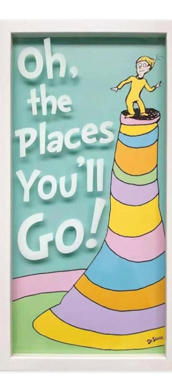 At Home Under Glass IDrSeuss Oh The Places You'll Go 20" x 10" Framed Art