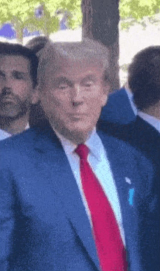 iReeses Politics2028 Trump GIF